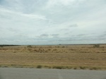 36052DSC02772.JPG