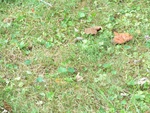 2012-09-15_11-41-21_OH-SC-4.JPG