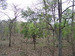 480002052008(10).JPG