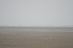 4127IMG_8762.JPG