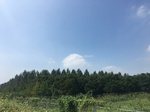 2017-09-12_13-50-05_F15583E1-F9E9-44F8-A1F4-7D6C45B251EA.jpg