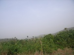 3815RIMG0119.JPG