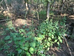 2012-09-21_16-12-33_CIMG2993.JPG