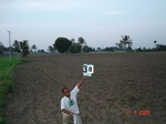6226038b-irrigated-supplemental-groundwater-rice-groundnut-plantation.jpg