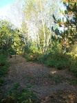 2012-09-10_08-18-42_WI-RS-1-1.JPG