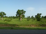 19380P1010226.JPG