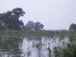 660R0015168.jpg