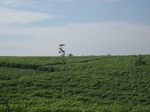 13957IMG_4248.JPG