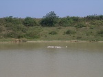 437520071007gps 111.jpg
