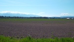 2018-05-27_14-54-17_DSCF6488.JPG