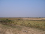 4597RIMG0040-1.JPG