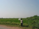 9841gt0130a-cultivated-irrigated-minor-tank-rice.gif