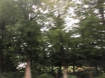2017-09-10_20-39-10_5EC895DF-521F-47BB-92BF-A789E70E6247.jpg