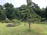 2018-09-01_10-24-22_east.jpg