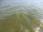 2012-09-21_14-26-29_CIMG0106.JPG