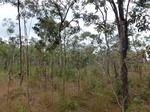 2012-08-28_20-34-49_P1010130.jpg