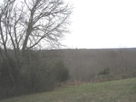 2017-02-22_17-02-30_Feb17-027-TN.jpg
