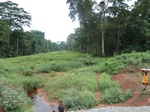 19924P1010774.JPG