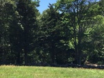 2017-07-03_15-59-12_2.jpg