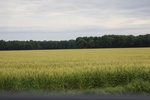 2022-06-12_15-25-36_7B9CDD98-84DE-4C80-AA1E-BA23421C0B74.jpeg