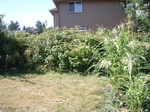 2012-09-05_16-47-04_FieldPhotoW53.JPG