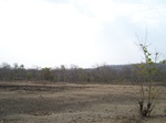 488602052008(8).JPG