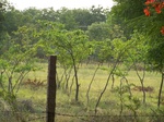 528927042008(95).JPG