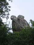 828035-forest-rockout-crops-closelook-b.jpg