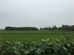 2017-09-11_22-23-48_A23A6D1A-98C3-4C37-ACAA-0BBF2B9EDC0A.jpg
