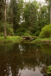 2017-06-13_14-21-49_West.jpg