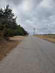 2020-11-09_19-01-17_20201109_142444.jpg