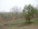 3894RIMG0198.JPG