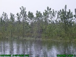 1370R0015134_tag.jpg