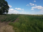 2017-05-29_20-41-04_20170529_165539.jpg