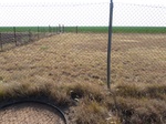 39218HOLL20110719E.JPG