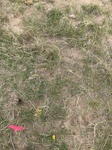 2017-05-27_13-18-08_B1E660C2-7579-4D05-B695-8E6A759EF4A0.jpg