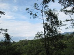 16317IMG_5092.JPG