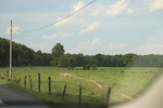 2022-06-11_15-55-33_2291D0B6-104A-48CF-BCE9-017FE4F8609A.jpeg