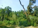 41604CIMG8710.JPG
