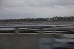 2017-05-12_17-38-16_2017-05-05 19.29.15.jpg