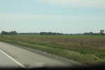 2022-06-11_16-13-21_AC64E3F0-581A-46D9-A691-910D9D12FAEA.jpeg