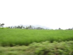 13920IMG_4206.JPG