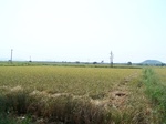 17334100_2020.JPG