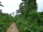 18236P1000072.JPG