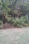 2020-10-09_14-28-12_2020-10-8-18-58-28.jpg