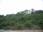 4084RIMG0389.JPG