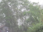 16357IMG_5141.JPG