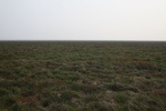 4527IMG_8841.JPG