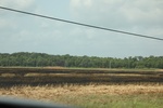 2022-05-26_14-58-48_E2AF4978-DF90-4894-9E27-3D8633C597BC.jpeg