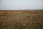 4532IMG_8902.JPG